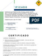 Certificado de Treinamento de NR 05 Rafaella