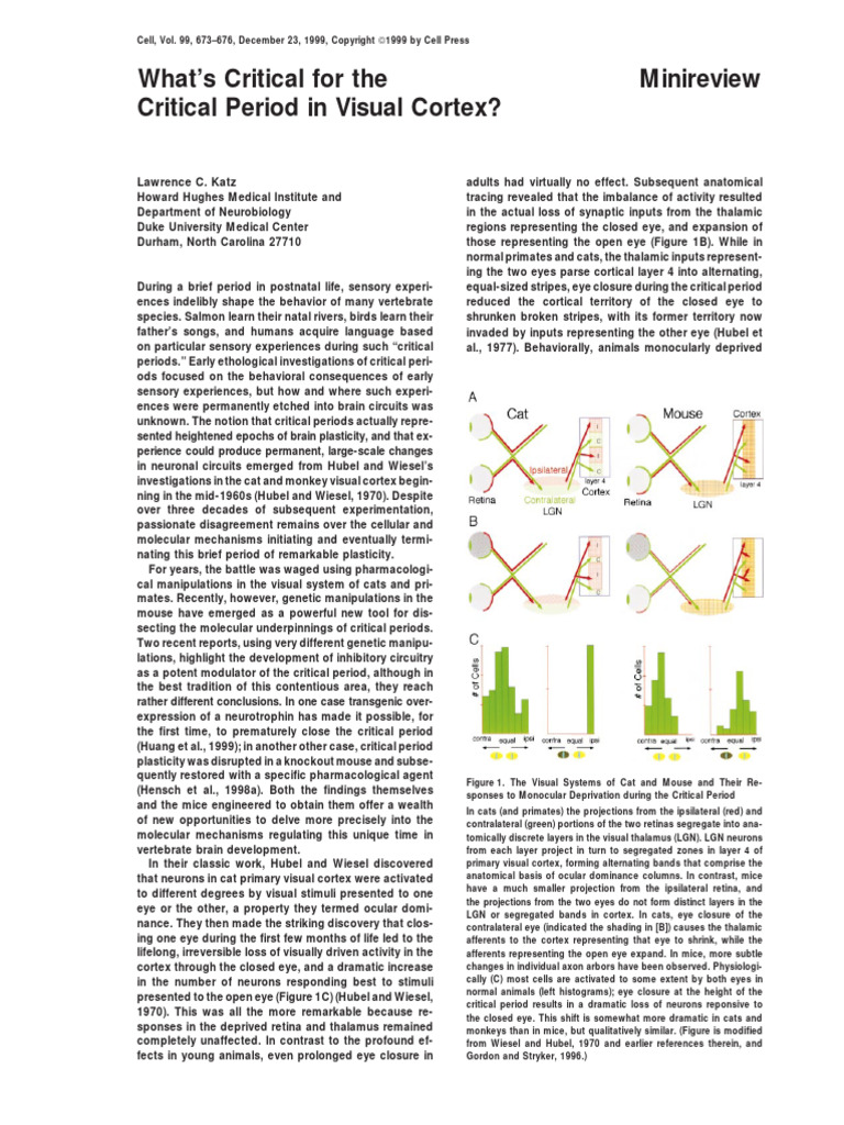 What's Critical For The Critical Period in Visual | PDF | Long Term ...