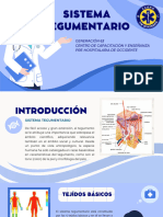 Sistema Tegumentario