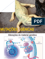 Mutações Génicas