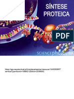 V Trab - Síntese Proteica - Simplificação