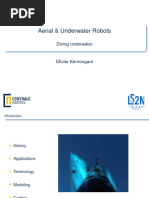 okUnderwater