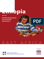 ASP-ANDESnapshotReport Ethiopia A4