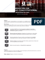 Maestria en Derecho Constitucional