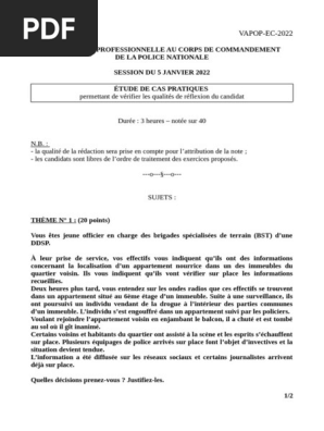 Étude de cas VAP Officier de Police 2022 | PDF