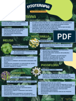 Taller Fitoterapia para Transtornos de La Ansiedad (Infografía) (Carta)