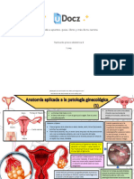 Accede A Apuntes, Guías, Libros y Más de Tu Carrera: Flashcards-Gineco-Obstetricia-8 1 Pag