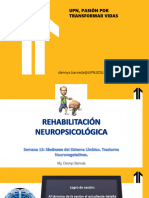 Clase 13 NEURO DB PDF Aula