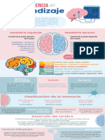 Infografía Cerebro Humano