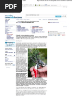 HowStuffWorks - Podando árvores, arbustos e vinhas