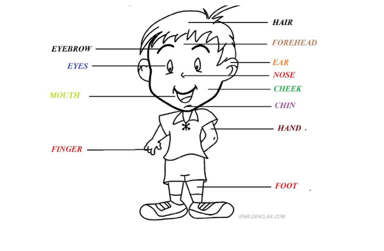 Mewarnai Bahasa Inggris PDF