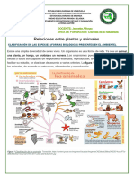 Relaciones Entre Plantas y Animales