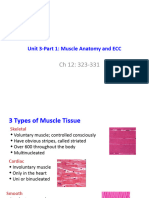 Unit 3-Part 1-Skeletal Muscle Anatomy, Sarcomeres, and EC Coupling-S