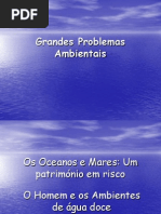 Grandes Problemas Ambient a Is Meri Incia e Ana 1212575716365398 8