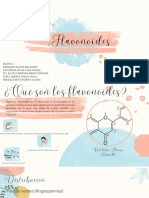 Flavonoides Presentacion