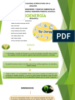 Diapositiva Sobre Bioenergia (Biomasa