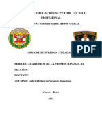 Policia Comunitaria en El Peru-Trabajo Final