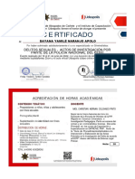 Certificado D. Penal - Delitos Sexuales