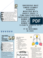 Caracterizacion y Propiedades de Los Grupos