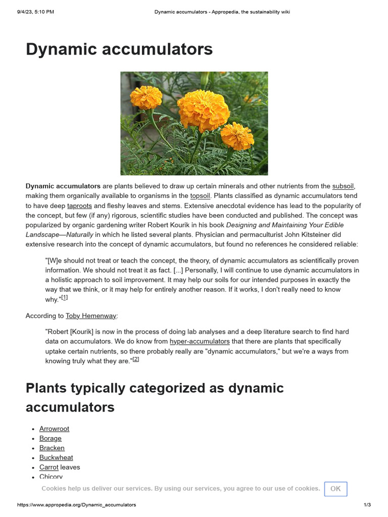 Dynamic accumulators PDF Botany
