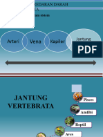 Arteri Kapiler: Jantung Vertebrata