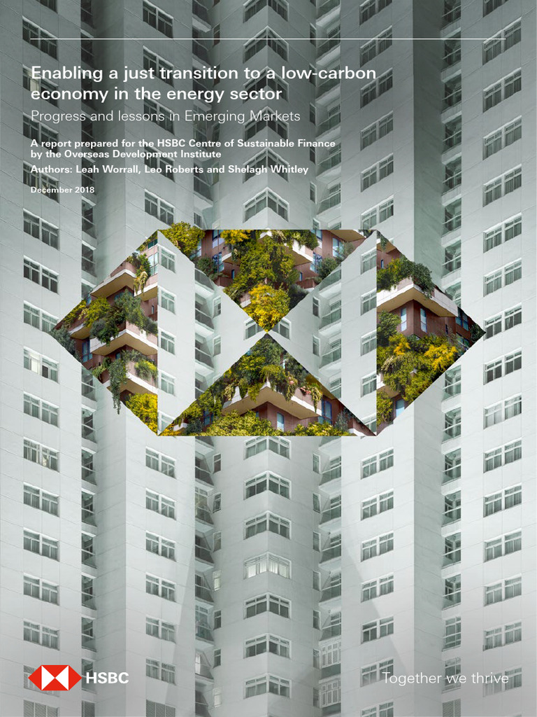 Enabling A Just Transition To A Low Carbon Economy In The Energy Sector