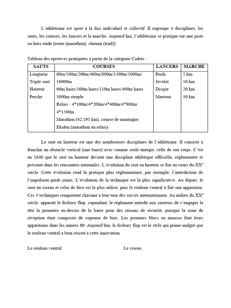 Bref Intro Et Historique | PDF