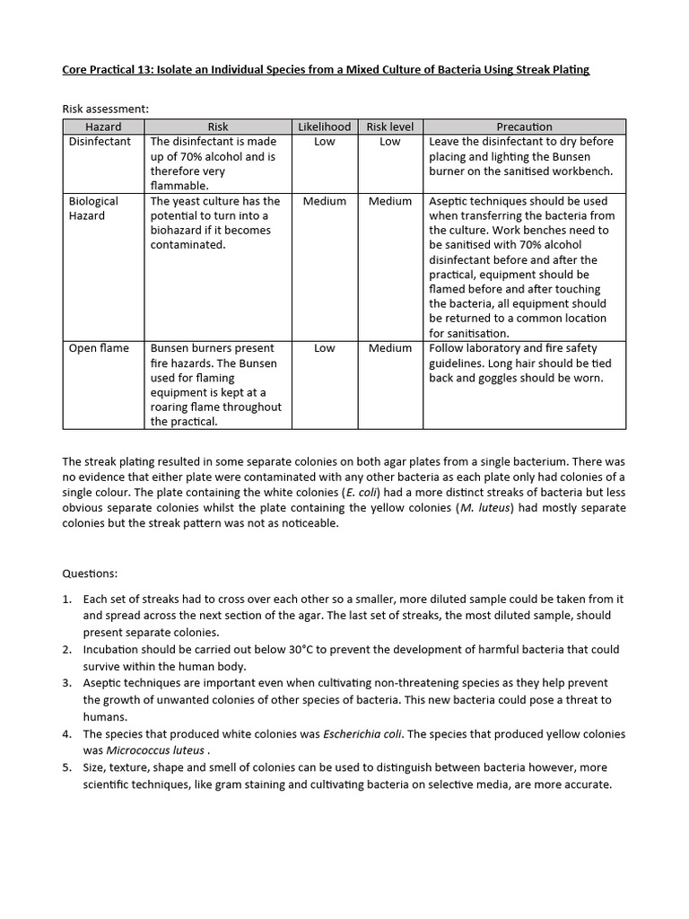 Bunsen Burner Risk Assessment for Streak Plating | PDF | Bacteria ...