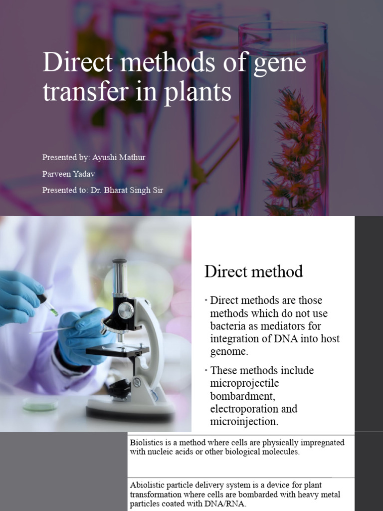 Direct Gene Transfer Methods in Plants | PDF | Molecular Genetics | Biology