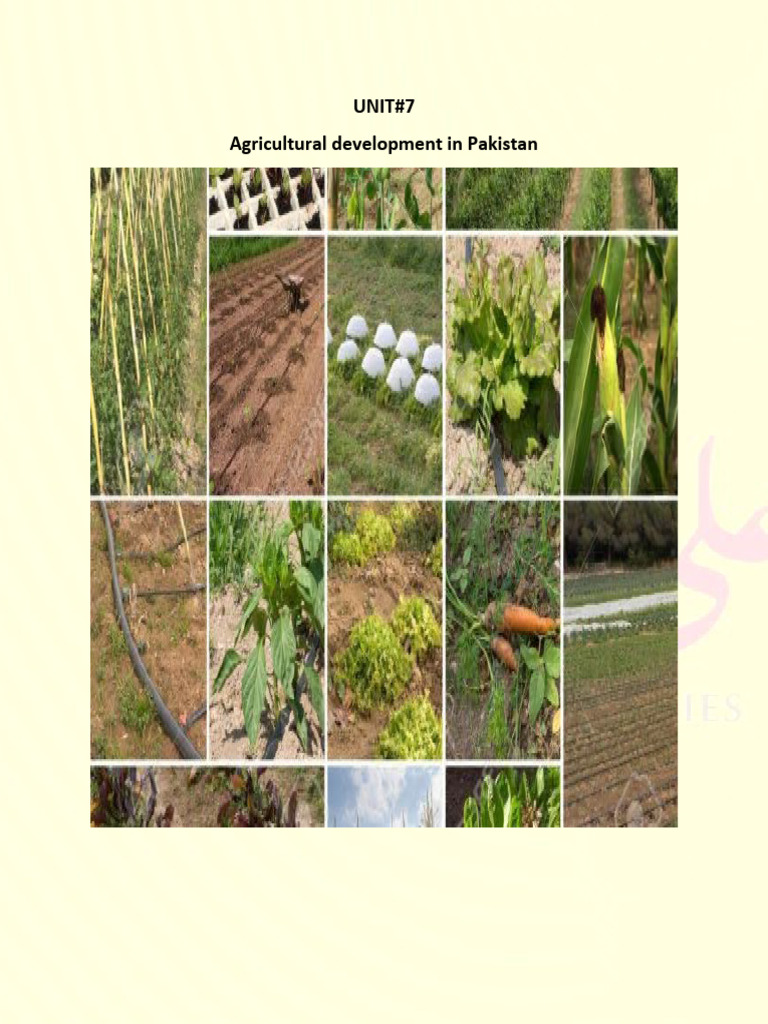 7 Agriculture Pdf Technology Engineering