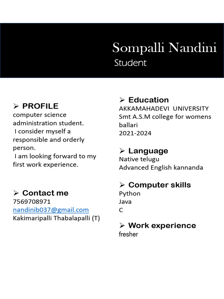 Computer Science Student Profile | PDF