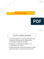 sintesi_proteica-OK