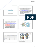 10 - Citos - Ribos - Sintproteine - Studenti