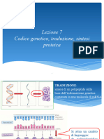 Codice Genetico-Traduzione-Sintesi Proteica