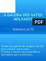 A GALERIA DOS GATOS MOLHADOS