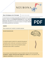 La Neurona - Català