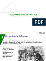 Experimento de Pasteur