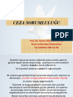 Ceza Sorumluluğu-Fyb