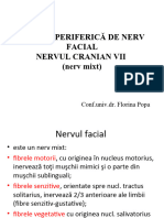 Patologia AP Dento-Maxilar Curs 7