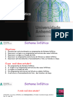 Sistema Linfático e Imunidade