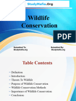 Wildlife Conservatiom