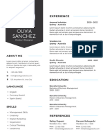 Professional Modern CV Resume