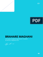 CV Bahare Maghani Compressed