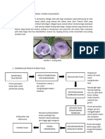 Teknologi Pengolahan Pangan 3