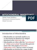 Maternal Inheritance-Babak Nami