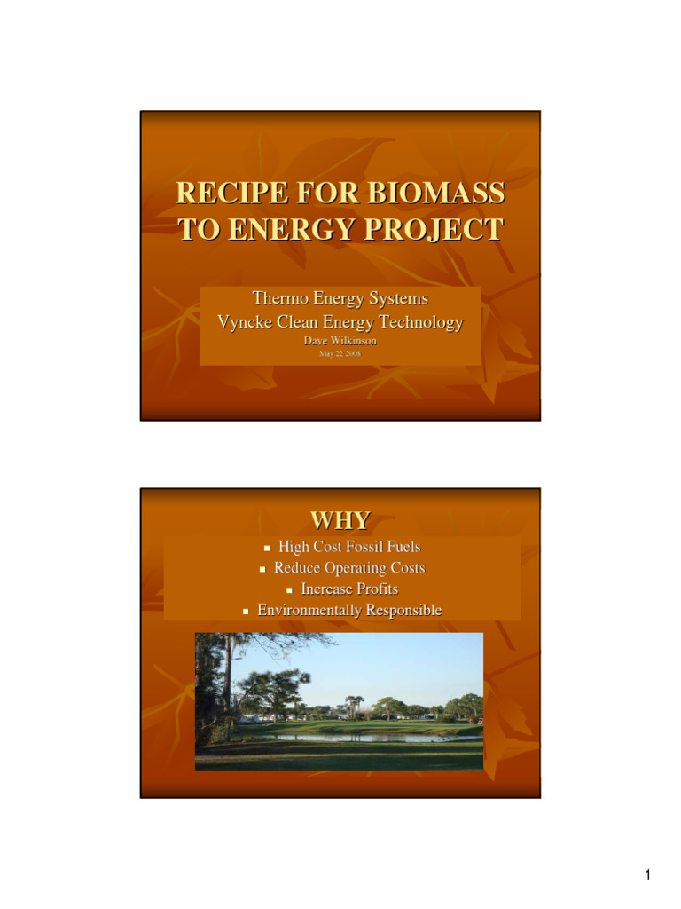 Biomass to Energy Project Guide | PDF | Fuels | Sustainable Energy