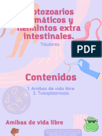 Protozoarios Hemáticos y Helmintos Extra Intestinales.