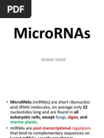 Download MicroRNA-Babak Nami by Babak Nami SN70006811 doc pdf