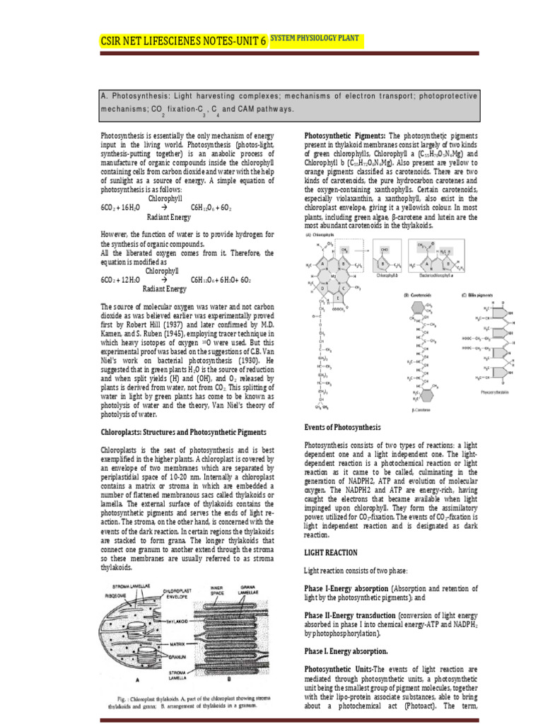 Unit 6 Notes Csir Net | PDF | Photosynthesis | Chloroplast