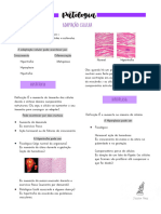 Patologia Adaptaçãocelular